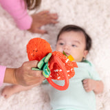 Baby Sensory Play Gift Bundle F1