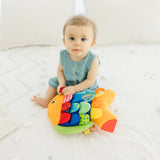 Baby Sensory Play Gift Bundle W6