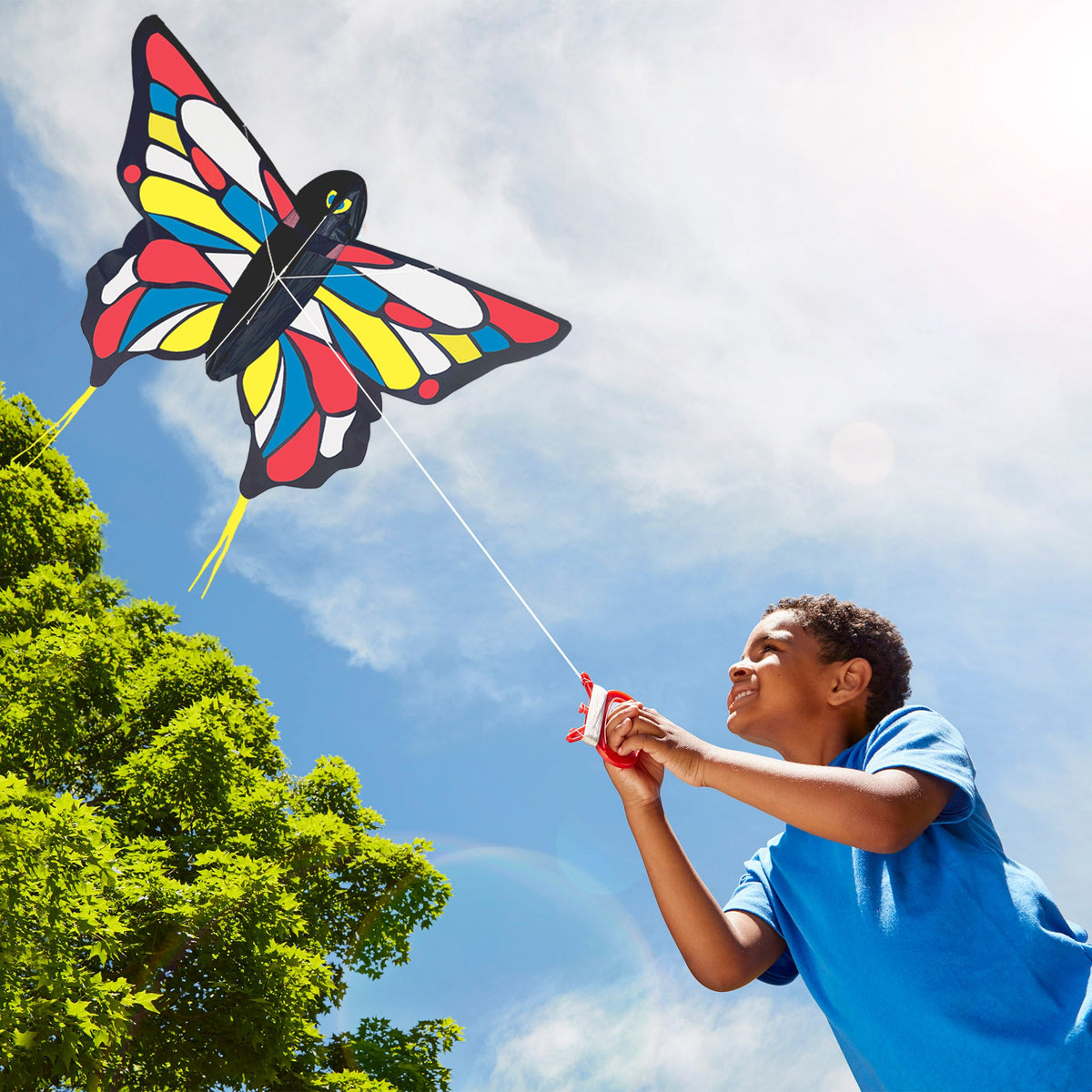 Beautiful Butterfly Kite V3