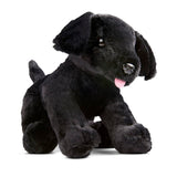 Benson Black Lab Puppy Dog Stuffed Animal F1