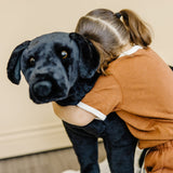 Black Lab Giant Stuffed Animal B3