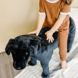 Black Lab Giant Stuffed Animal B3