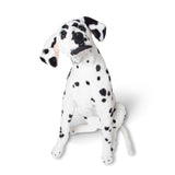 Dalmatian Giant Stuffed Animal C3