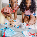 Examine & Treat Pet Vet Play Set H1