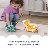 Feed, Walk & Poo Pup Play Set C7