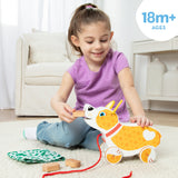 Feed, Walk & Poo Pup Play Set C7