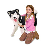 Husky Giant Stuffed Animal A2