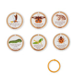Let’s Explore Terrarium Observations Play Set G3