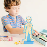 Magnetic Human Body Play Set X1