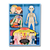 Magnetic Human Body Play Set X1