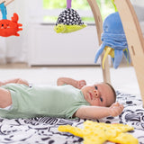 Ocean Easy-Fold Play Gym S8
