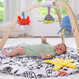 Ocean Easy-Fold Play Gym S8