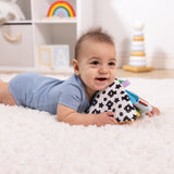 Ocean Tummy Time Triangle Baby Toy E6