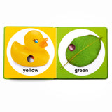 Poke-a-Dot: First Colors Board Book P9