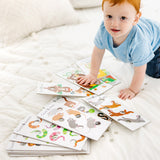 Poke-A-Dot Jumbo Number Learning Cards E6