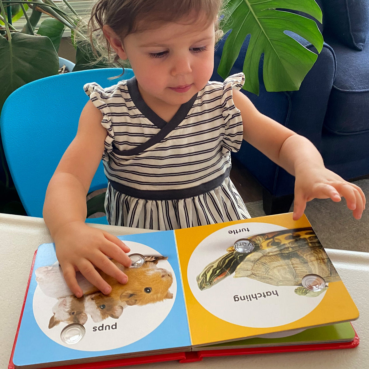 Poke-a-Dot: Pet Families Board Book O1