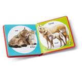 Poke-a-Dot: Pet Families Board Book O1