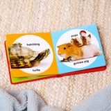 Poke-a-Dot: Pet Families Board Book O1