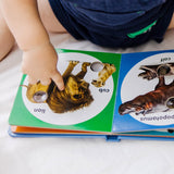 Poke-a-Dot: Wild Animal Families Board Book N6