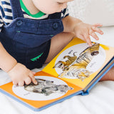 Poke-a-Dot: Wild Animal Families Board Book N6