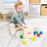 Shape-Sorting Cube E6