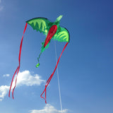 Winged Dragon Shaped Kite N4
