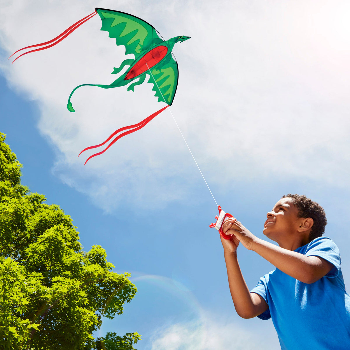 Winged Dragon Shaped Kite N4