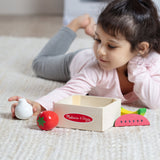 Wooden Food Groups Play Set – Produce O6